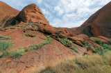 Uluru (Kuniya Trail)