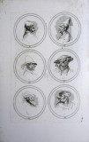 Grotesque heads