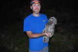 Barred Owl, 12 Oct 2011, Nashville