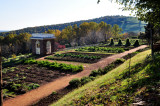 Gardens at Monticello