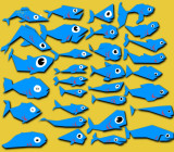 Fish Shape Concepts