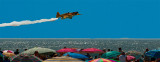 bird over the beach peter newman _old.jpg
