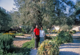 Garden of Gethsemane