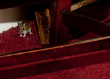 The Mouse of Altskeith