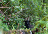 _DSC7338s1080.jpg