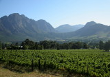 STELLENBOSCH FRANSCHHOEK.0116.JPG