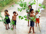 Enfants mayas