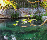 Cenote du Yucatan