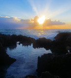 Le soleil sur la flaque