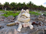 la bête de corail