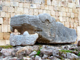 tête du serpent