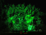 éclairage nocturne