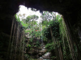 Du fond du cenote Ik Kil