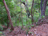 un des cenotes de Chichen Itza