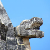 la tete du serpent du temple