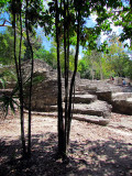 Dans les ruines de Coba