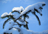 porteuse de neige