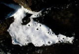 ile de mousse