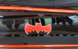 Bat door