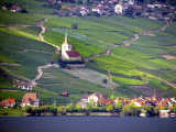 rayon de soleil sur la petite glise