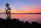 aurore sur le fleuve