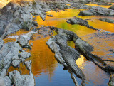 L'eau d'automne