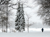 marche sur la neige