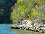 Sur les bords du rio Canimar