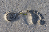footprint