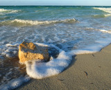 petit récif sur la plage