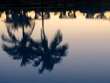 reflet matinal sur la piscine