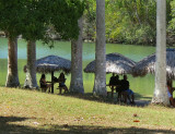 Parasols sur le rio