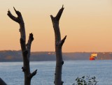 Le fleuve à l'aube bis