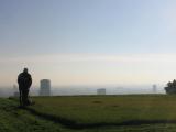 Cutting the grass of heaven (Bratislava-Slovakia)