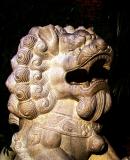 dragon chinois