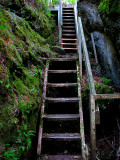 escaliers de bois de lile aux amours