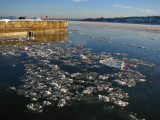 glace flottante au quai de Qubec