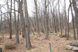 ir-110406_16-10_1721.jpg