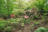 ir-110511_12-04_2603.jpg