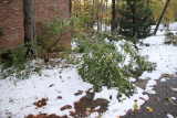 ir-111030__7276_18-00.jpg