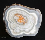 Crazy Lace Agate - WM40