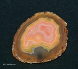 Moctezuma Agate - WM21