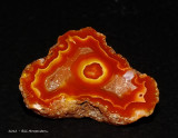 Coyamito Agate 