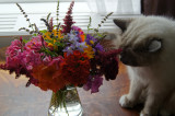 Smelling the flowers