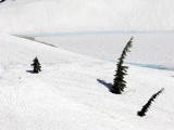 Mostly snow