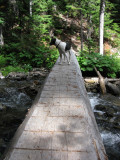 Log bridge near Rainy Pass