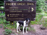 Vintage Trail sign and Kelly