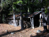 Reynolds Cabin