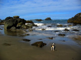 Kellys first time at the ocean.