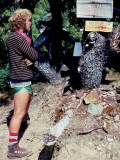 Monte Dodge on Cispus Pass in 1977